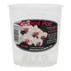 image 4 of Clear Plastic Orchid Pots 9 cm with Saucers N/A