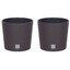 Brown & Set of 2