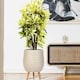 image 9 of Plaited Style Beige Planter with Legs, Round Indoor Plant Pot Stand for Indoor Plants by Idealist Lite D30 H43 cm, 19L