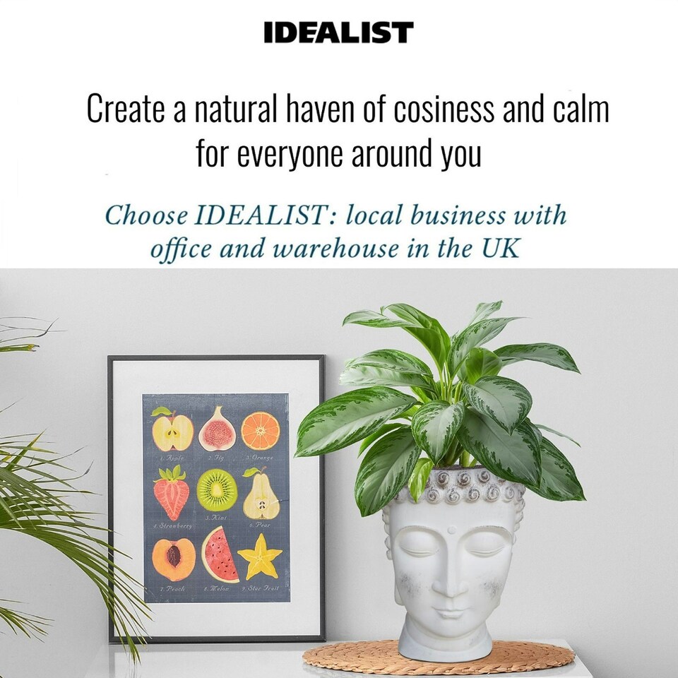 image 1 of White Oval Face Planter Head Buddha Plant Pot Indoor Pot Cover L26.5 W25 H34 cm, 8.4 ltrs Cap.