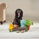 image 2 of Fresh Breath Peppermint & Parsley Dog Treats (8x90g)