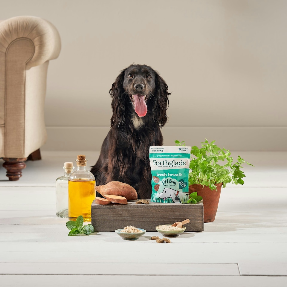 image 1 of Fresh Breath Peppermint & Parsley Dog Treats (8x90g)