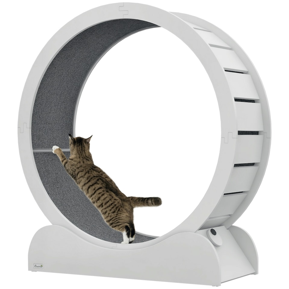 image 1 of PawHut Cat Exercise Wheel, 39.4 inch Running Treadmill with Brake, White