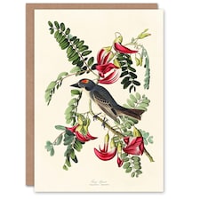 John James Audubon Art Card Birds of America Piping Flycatcher