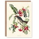 image 1 of John James Audubon Art Card Birds of America Piping Flycatcher
