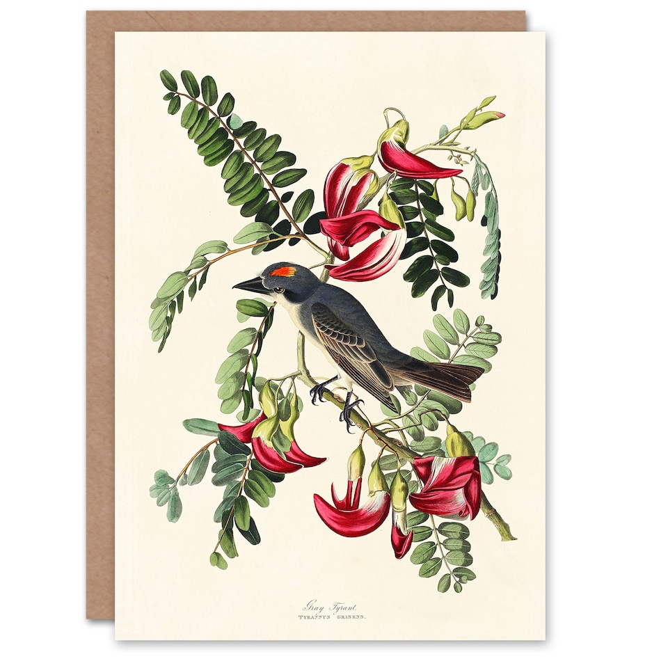 image 1 of John James Audubon Art Card Birds of America Piping Flycatcher