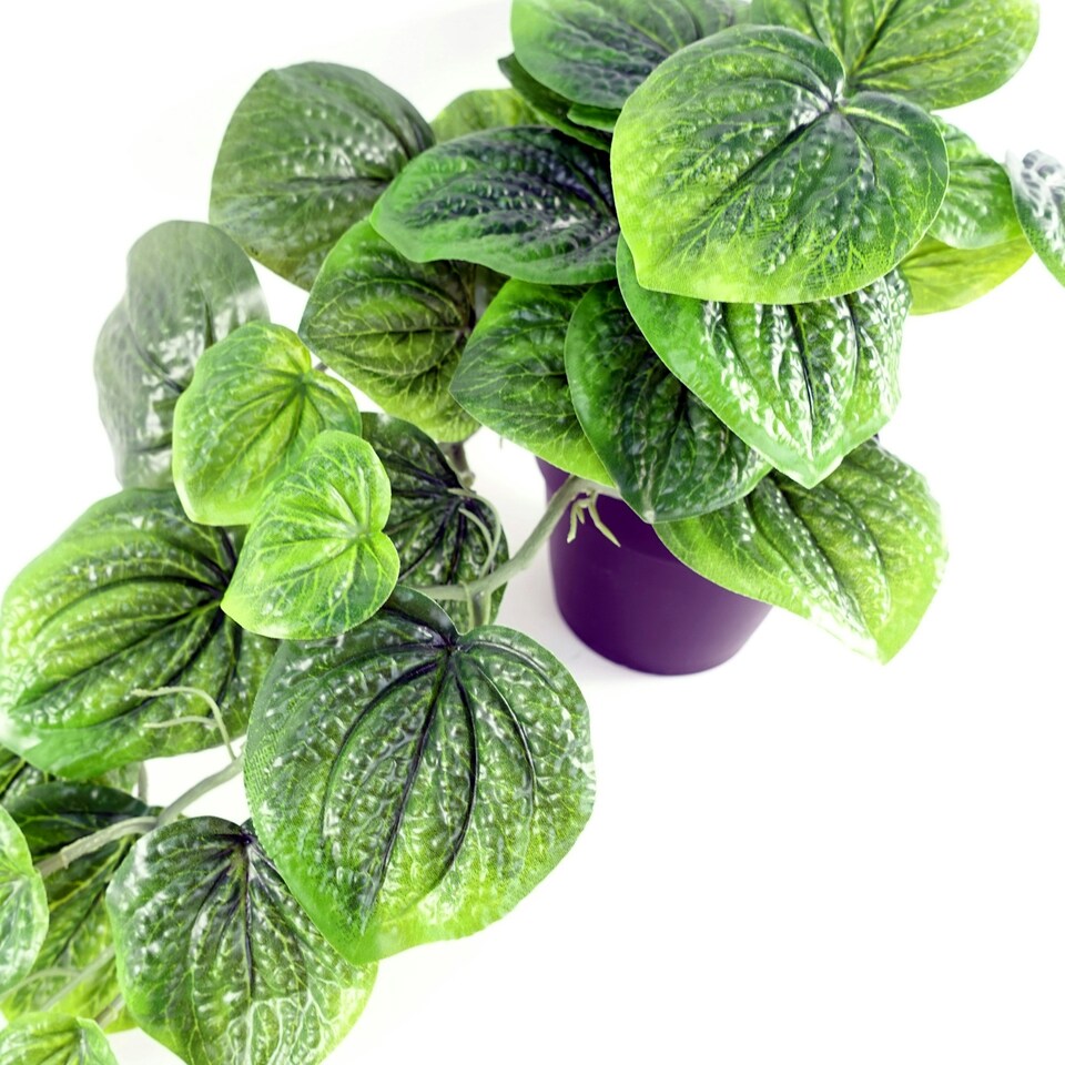 image 1 of Artificial Trailing Green Potted Pothos Plant Botanik