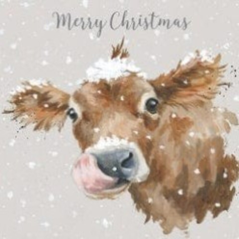 Wrendale Designs First Taste Of Snow Luxury Christmas Cards