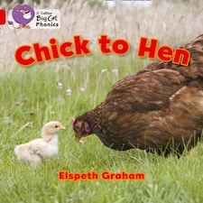 Chick to Hen Paperback Book