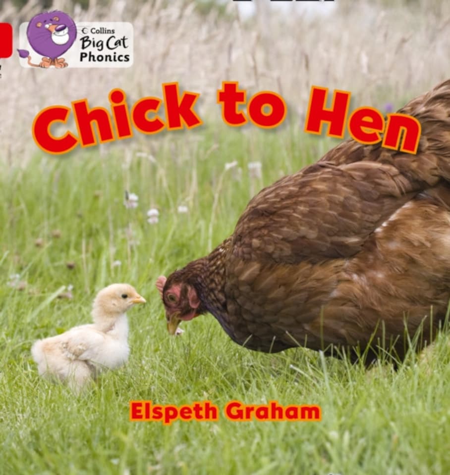 Chick to Hen Paperback Book