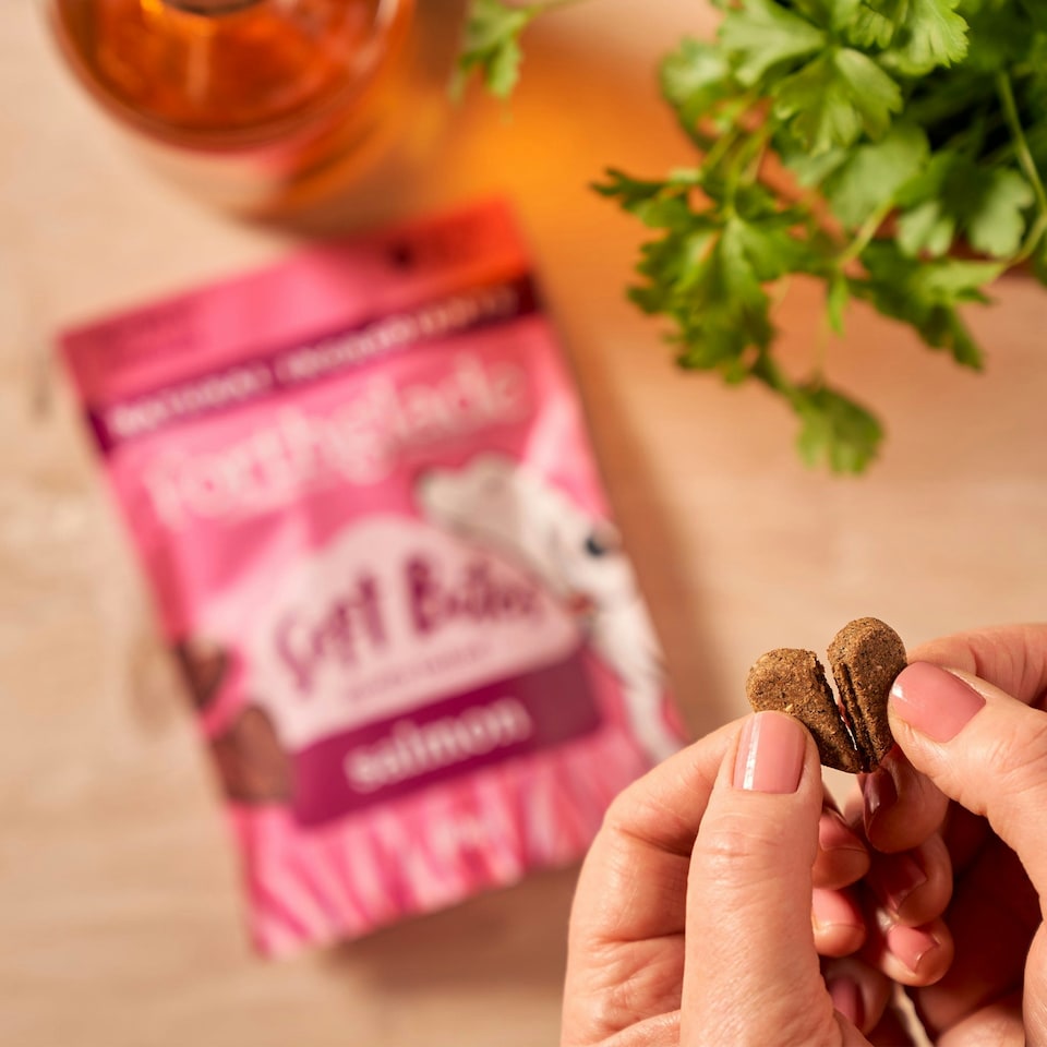 image 1 of Salmon Soft Bites Dog Treats (8x90g)
