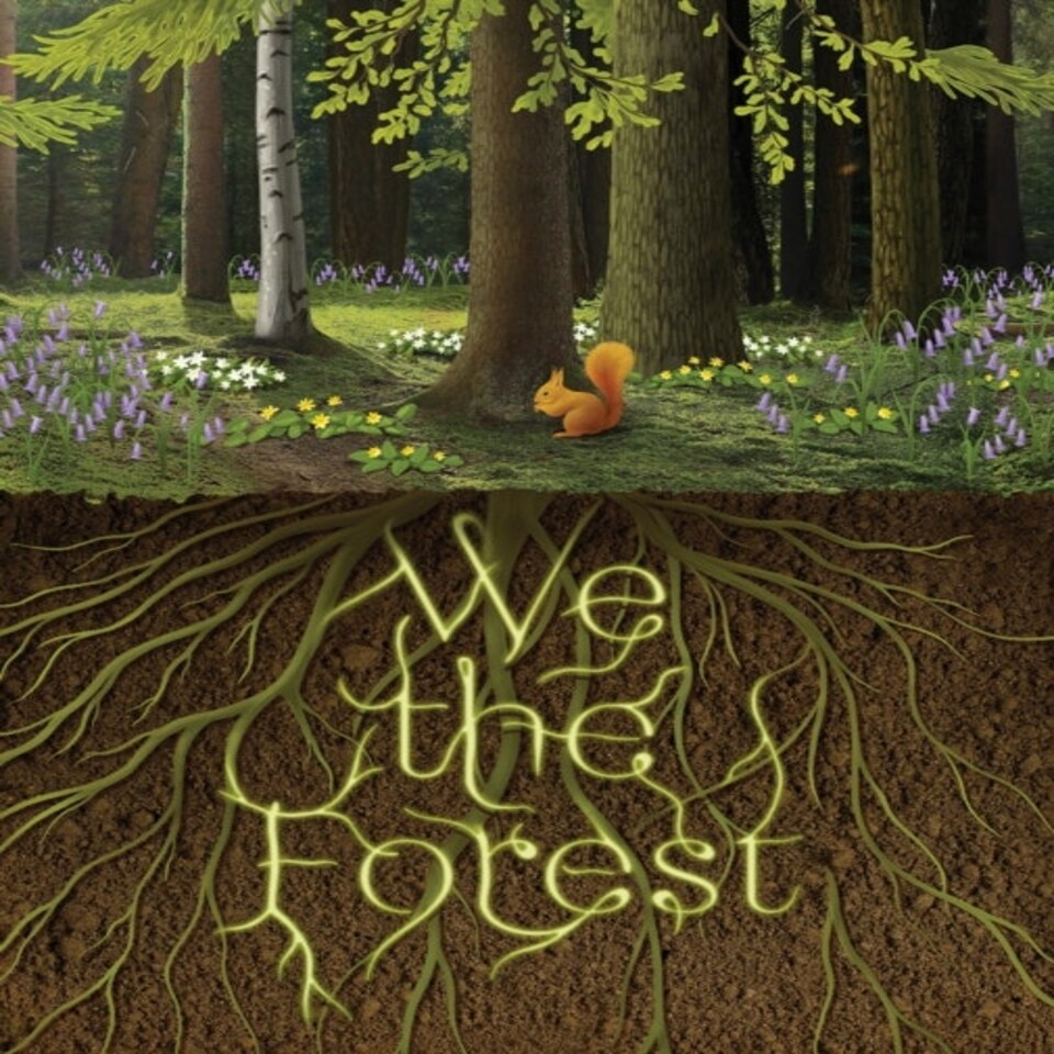 We The Forest