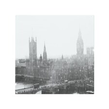 Calming Ben Splash Back | White
