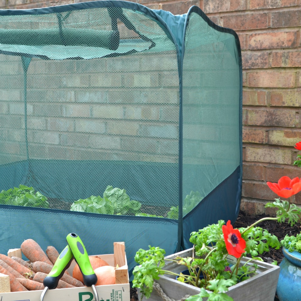 image 1 of GardenSkill Pop Up Strawberry & Salad Fruit Cage Bird Netting Pest Protection Cover 1.25m x 0.75m H
