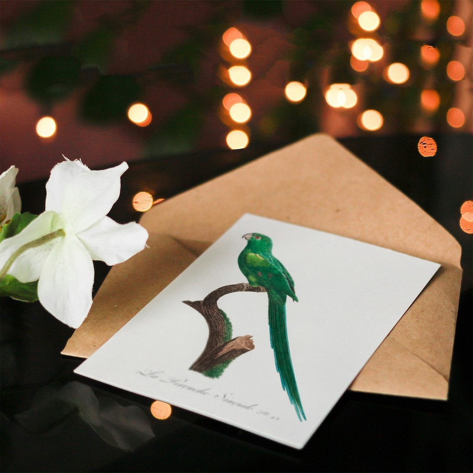 image 1 of Francois Levaillant Art Card The Long Tailed Parakeet