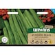 image 4 of Runner Bean Lady Di (Organic) | Multi | Green, Red