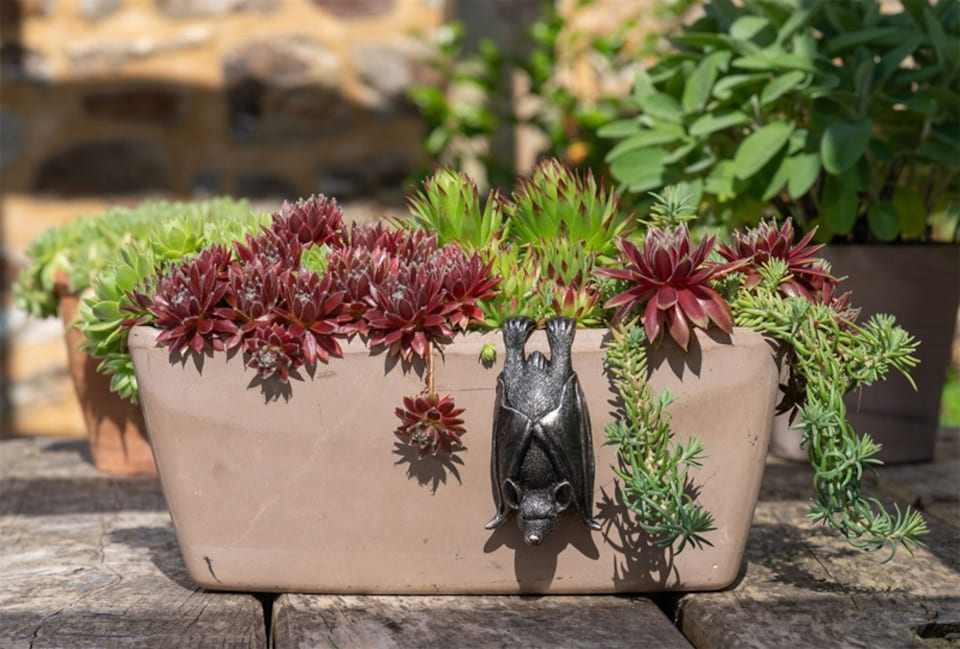 image 1 of Bat Plant Pot Hanger - L11 x W5.5 x H4.5 cm | Black