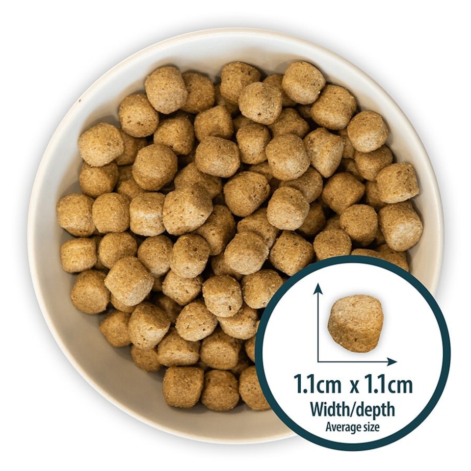 image 1 of Burns Original Fish & Brown Rice Hypoallergenic Low-Fat Adult & Senior Dry Dog Food - 12 kg