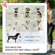image 3 of PawHut Foldable Pet Stroller w/ Detachable Carrier, Soft Padding - Red