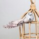 image 2 of Decorative Silver Showfeather Bird With Clip