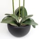 image 6 of Orchid White - Black Ceramic Planter