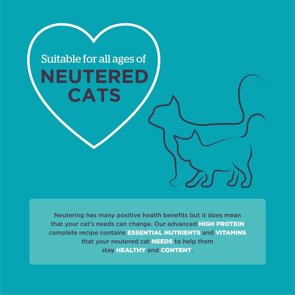 image 1 of Burgess Neutered Cat - 10KG
