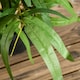 image 8 of HOMCOM Potted Artificial Plants Bamboo Tree for Desk Indoor , 60cm