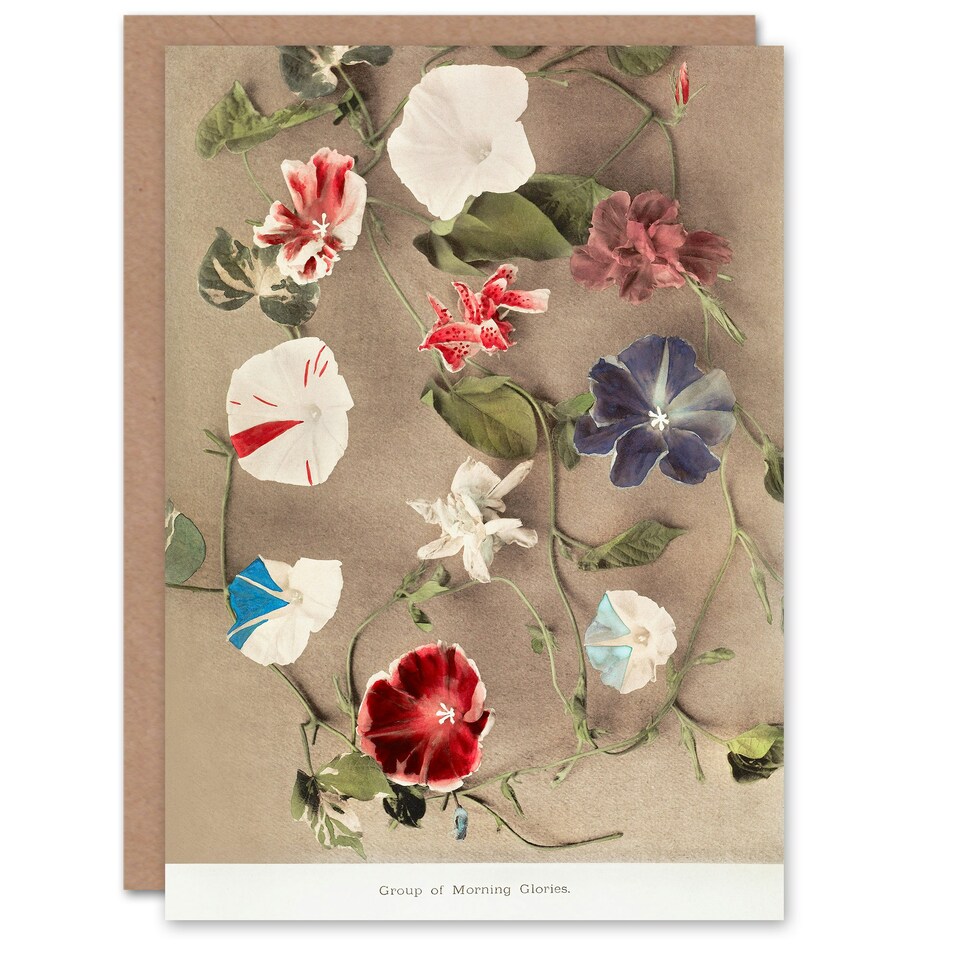 image 1 of Ogawa Kazumasa Japanese Art Card Group Of Morning Glories