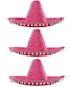 image 2 of Pink Mexican Sombrero with Pom Pom Edging | Pink | 3