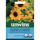 image 2 of Marshalls Garden Sunflower Seeds Microsun Orange Sun 20 seeds