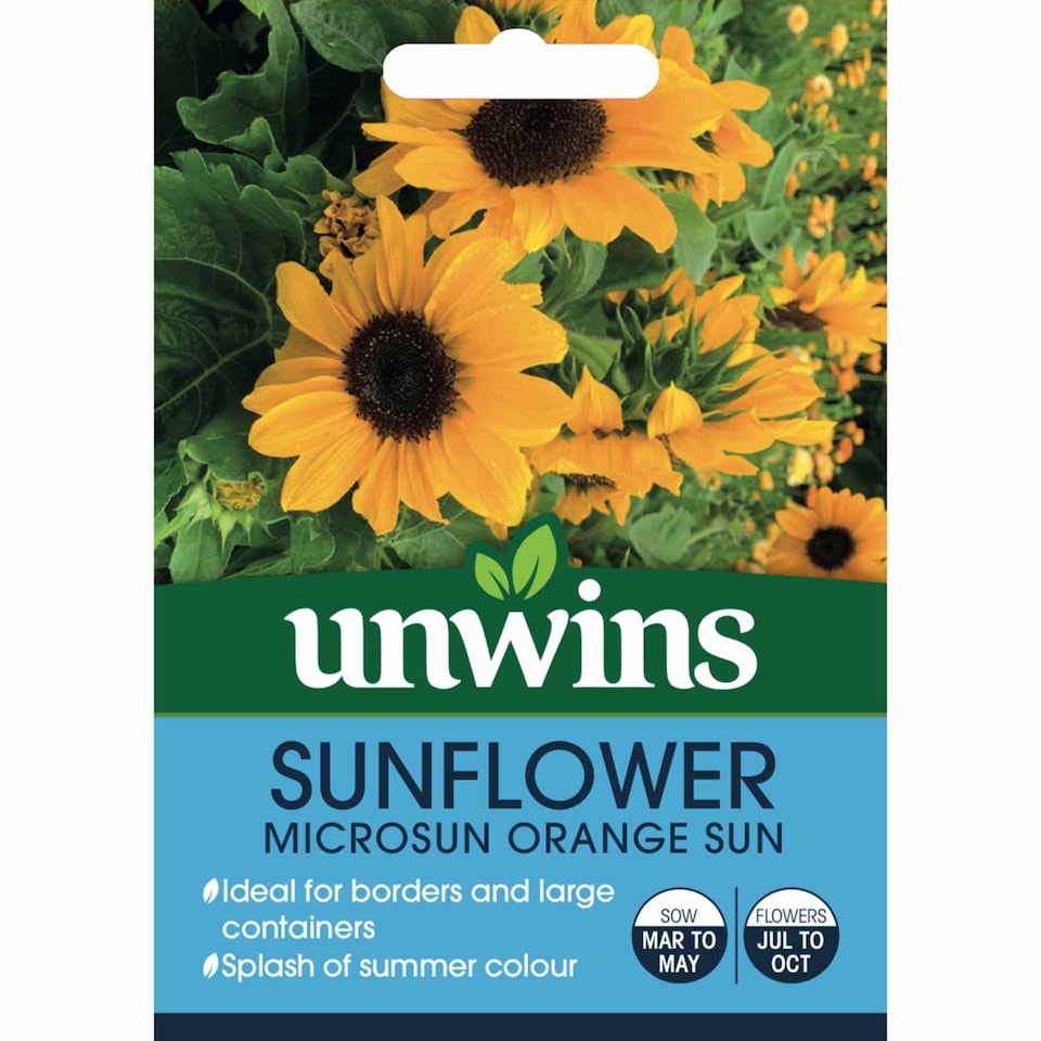 image 1 of Marshalls Garden Sunflower Seeds Microsun Orange Sun 20 seeds