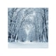 image 1 of Snowstorm In Park Dining Splash Back | White