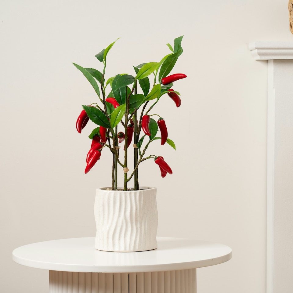 image 1 of 49Cm Chilli Plant In Ceramic Pot Green | One Size