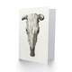 image 2 of Jean Bernard Art Card Skull of a Cow Pencil Drawing