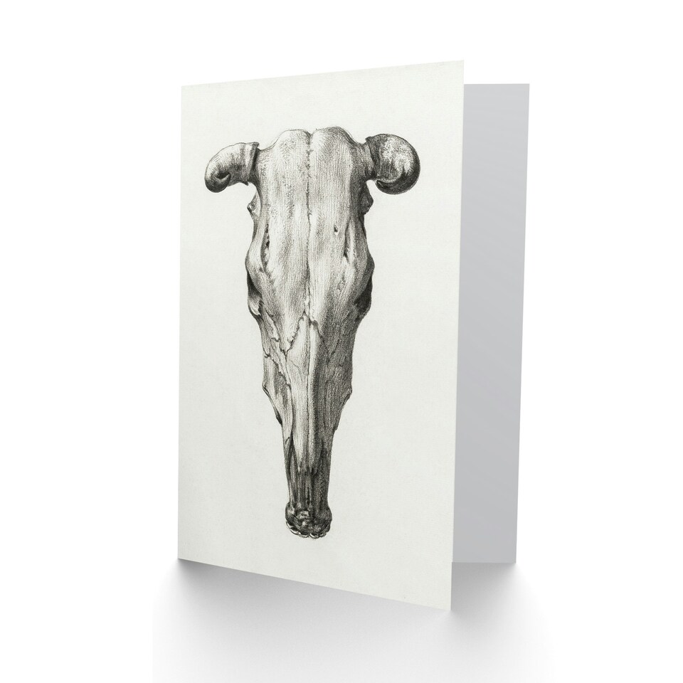 image 1 of Jean Bernard Art Card Skull of a Cow Pencil Drawing