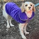 image 2 of Henry Wag Small Purple Dog Drying Coat