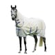 image 1 of Tempest Mesh Summer Horse Fly Rug - Grey - 84in