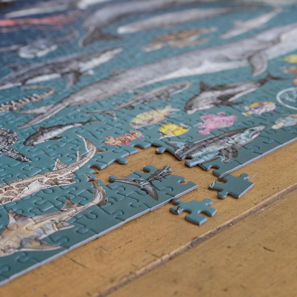image 1 of The Ocean 1000 Piece Jigsaw Puzzle