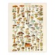 image 5 of Millot Encyclopedia Mushrooms Fungi Kitchen Wood Framed Wall Art Print