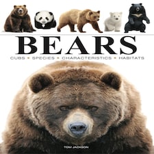 Bears