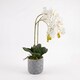image 4 of Homescapes Artificial White Orchid in Blue Ceramic Pot