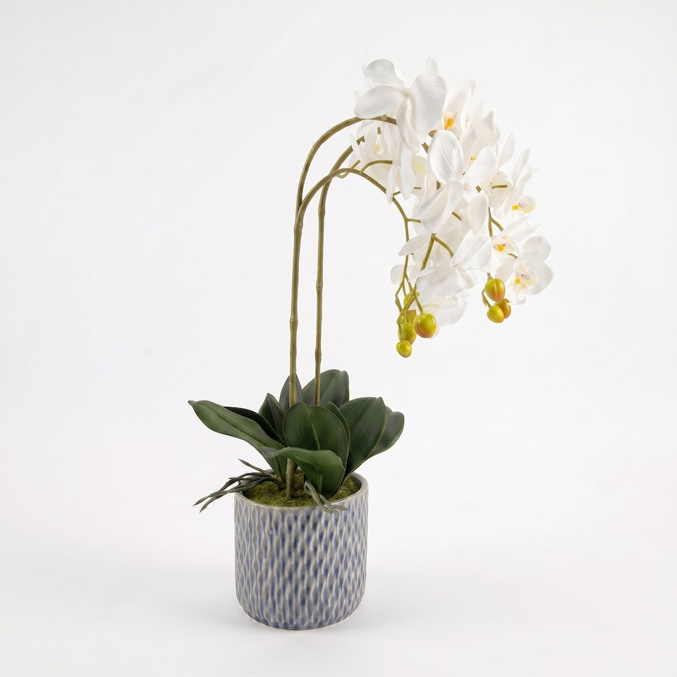 image 1 of Homescapes Artificial White Orchid in Blue Ceramic Pot