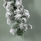 image 7 of 2.7m Green Snow Flocked Christmas Garland with 190 Tips