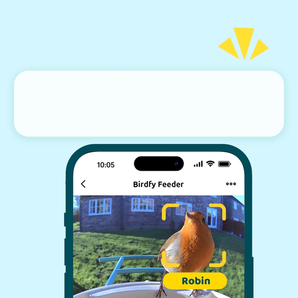 image 1 of BIRDFY FEEDER AI LIFETIME FREE W/ SOLAR
