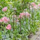 image 6 of Outdoor Pot Plant Support