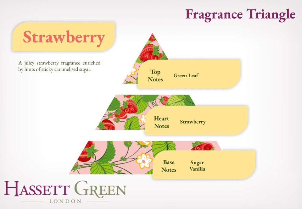 image 1 of Hassett Green London - Strawberry - Scented Wooden Balls Pack of 12 plus 30ml Bottle of Home Fragrance Oil for Refreshing - Alternative to Pot Pourri, Diffusers, Sachets and Drawer Liners