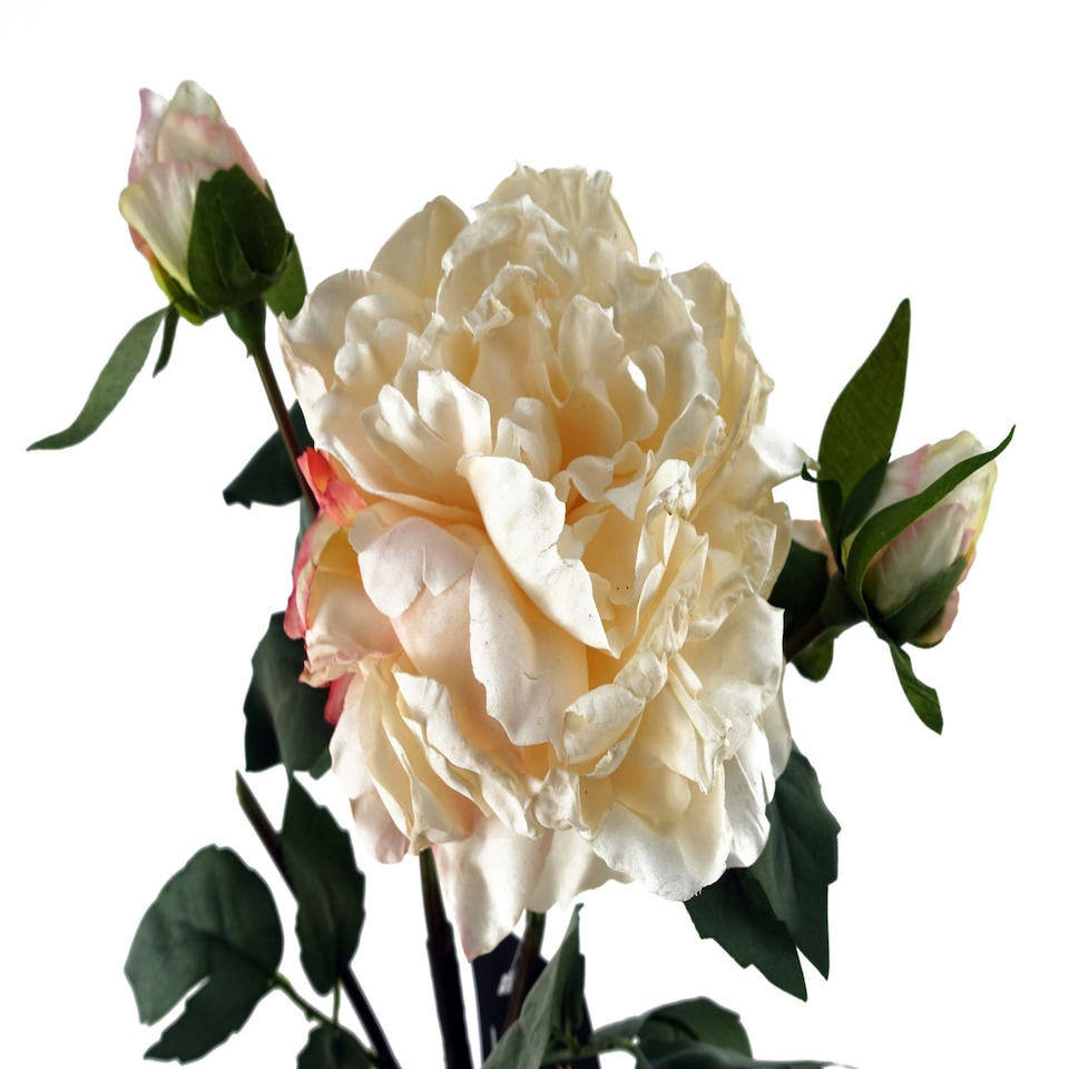 image 1 of 6 x 60cm Peony Artificial Flower Cream - 6 flowers 18 buds