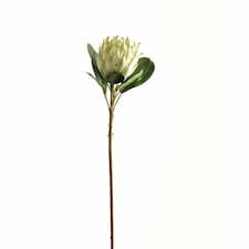 Large Protea Artificial Plant - Plastic - L21 x W21 x H73 cm - White