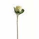 image 1 of Large Protea Artificial Plant - Plastic - L21 x W21 x H73 cm - White