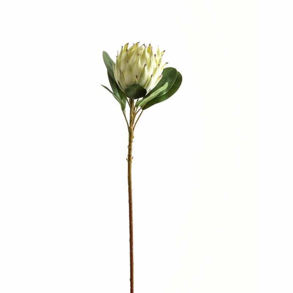 image 1 of Large Protea Artificial Plant - Plastic - L21 x W21 x H73 cm - White